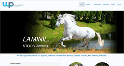 Desktop Screenshot of laminil.us